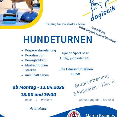 Hundeauslaufgebiet-dogistik-Bild