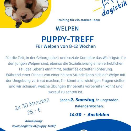 Hundeauslaufgebiet-dogistik-Bild