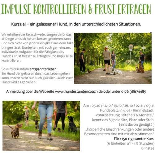 Hundeauslaufgebiet-Hundestundencoach-Bild