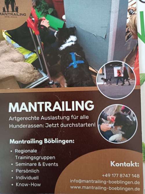 Hundeauslaufgebiet-MANTRAILING-Bild