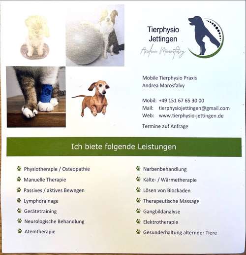 Hundeauslaufgebiet-Tierphysio Jettingen-Bild