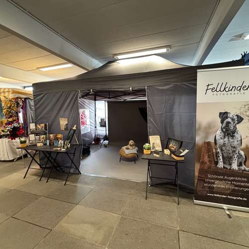 Hundeauslaufgebiet-Fellkinder Fotografie - Kimberley Koch-Bild