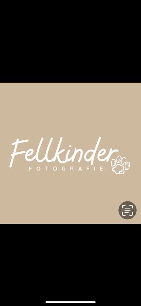 Hundeauslaufgebiet-Fellkinder Fotografie - Kimberley Koch-Bild