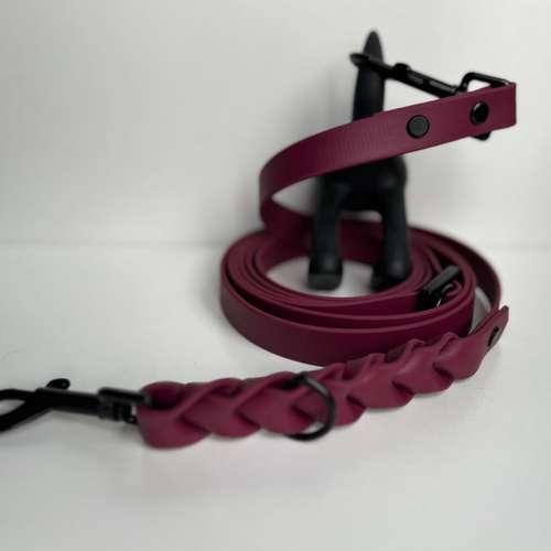 Hundeauslaufgebiet-NALIQUE -Bild