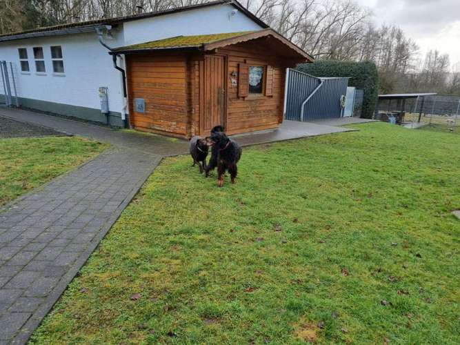 Hundeauslaufgebiet-Tierpension Bock & Bauer GbR - Haus im Eichwald-Bild