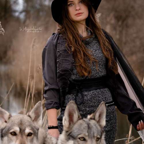 Hundeauslaufgebiet-Weltwinkelobjektiv Tierfotografie-Bild