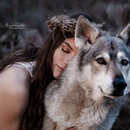 Hundeauslaufgebiet-Weltwinkelobjektiv Tierfotografie-Bild