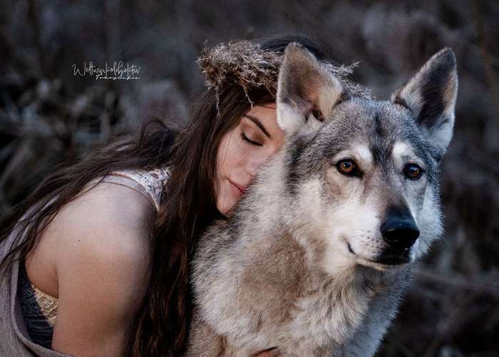 Hundeauslaufgebiet-Weltwinkelobjektiv Tierfotografie-Bild