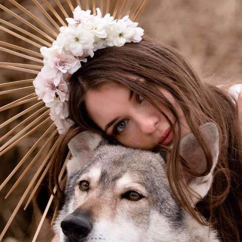 Hundeauslaufgebiet-Weltwinkelobjektiv Tierfotografie-Bild