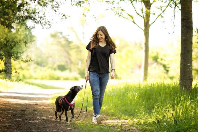Hundeauslaufgebiet-Hundeschule Julie & Bonnie-Bild