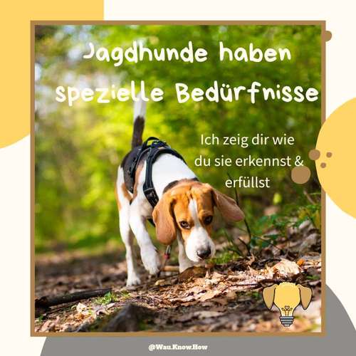 Hundeauslaufgebiet-Wau Know How-Bild