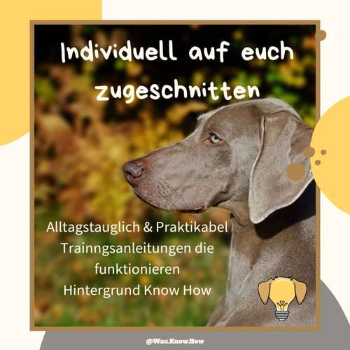 Hundeauslaufgebiet-Wau Know How-Bild