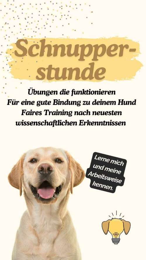 Hundeauslaufgebiet-Wau Know How-Bild