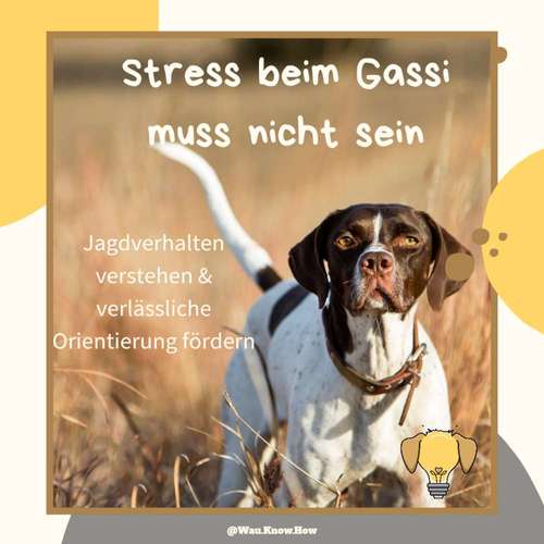 Hundeauslaufgebiet-Wau Know How-Bild
