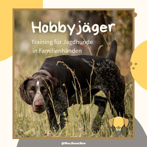 Hundeauslaufgebiet-Wau Know How-Bild