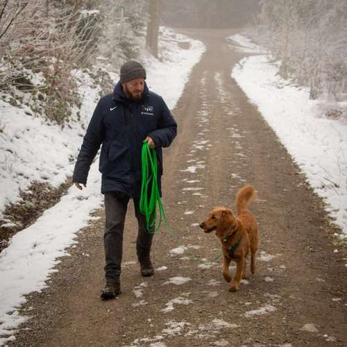 Hundeauslaufgebiet-Hundeschule Zürich-Bild