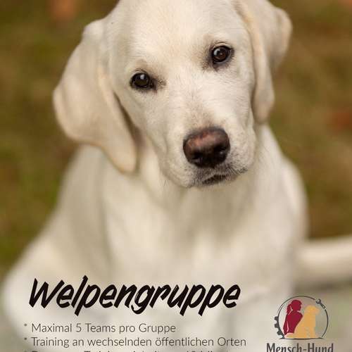 Hundeauslaufgebiet-Mensch-Hund-Werkstatt-Bild