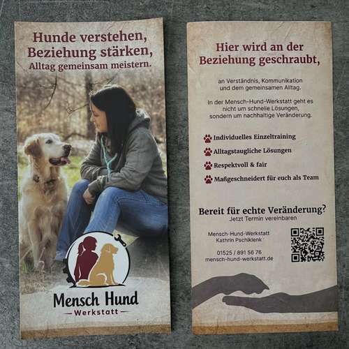 Hundeauslaufgebiet-Mensch-Hund-Werkstatt-Bild
