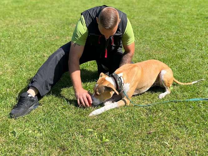 Hundeauslaufgebiet-SCT - Mobile Hundeschule by Anita Kijek-Bild