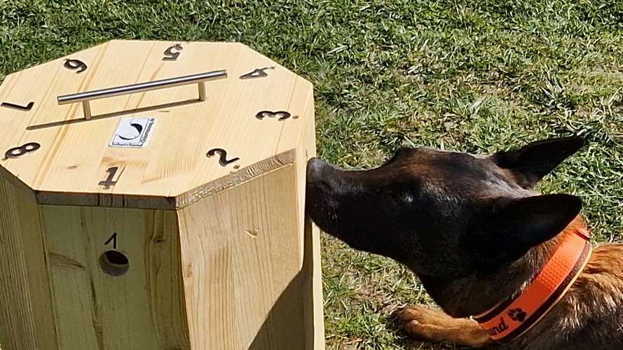 Hundeauslaufgebiet-SCT - Mobile Hundeschule by Anita Kijek-Bild