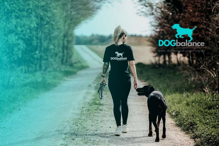 Hundeauslaufgebiet-DOGbalance Coaching-Bild