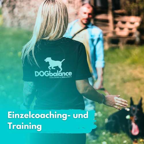 Hundeauslaufgebiet-DOGbalance Coaching-Bild