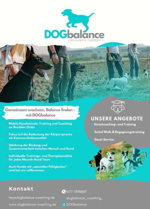 Hundeauslaufgebiet-DOGbalance Coaching-Bild