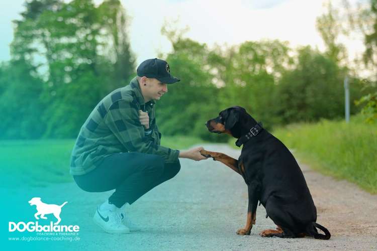 Hundeauslaufgebiet-DOGbalance Coaching-Bild