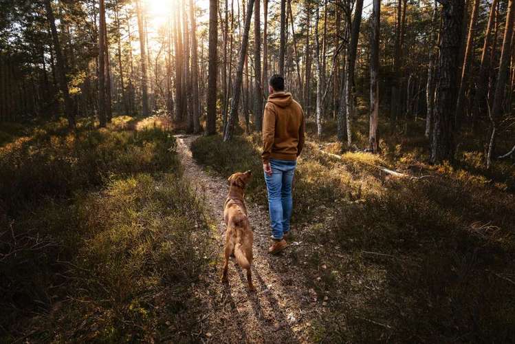 Hundeauslaufgebiet-Jessica Böcker Fotografie-Bild