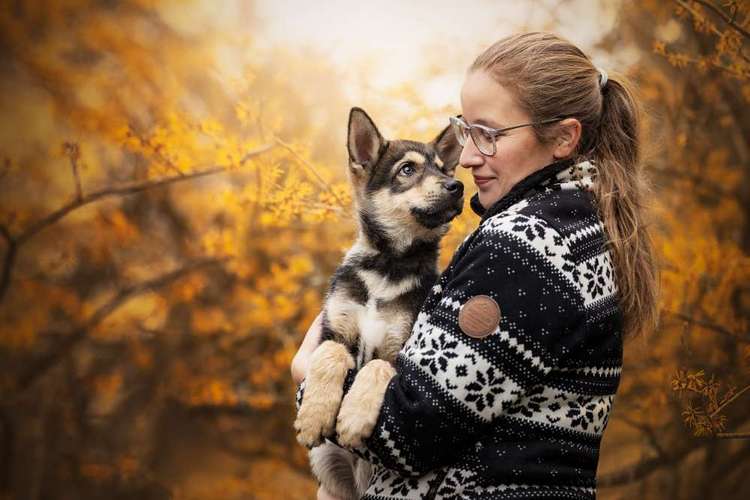 Hundeauslaufgebiet-Jessica Böcker Fotografie-Bild