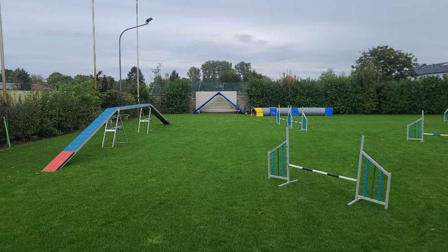 Hundeauslaufgebiet-Dog-Team Griesheim-Bild