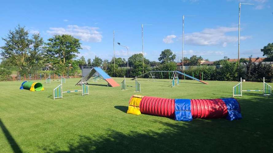 Hundeauslaufgebiet-Dog-Team Griesheim-Bild