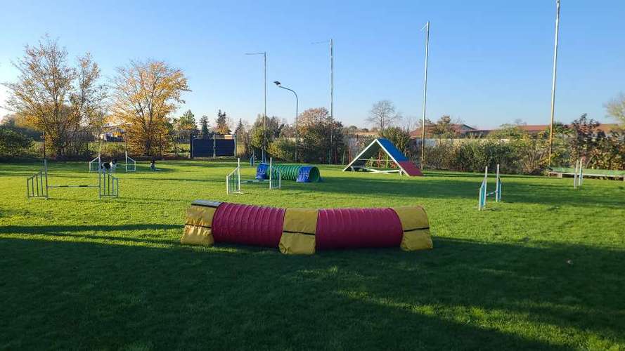 Hundeauslaufgebiet-Dog-Team Griesheim-Bild