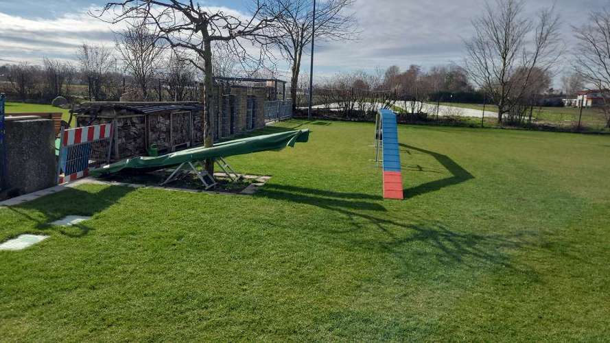 Hundeauslaufgebiet-Dog-Team Griesheim-Bild