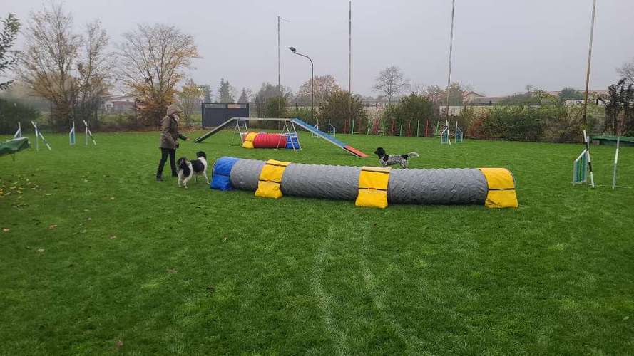 Hundeauslaufgebiet-Dog-Team Griesheim-Bild