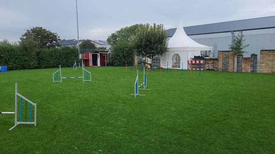 Hundeauslaufgebiet-Dog-Team Griesheim-Bild