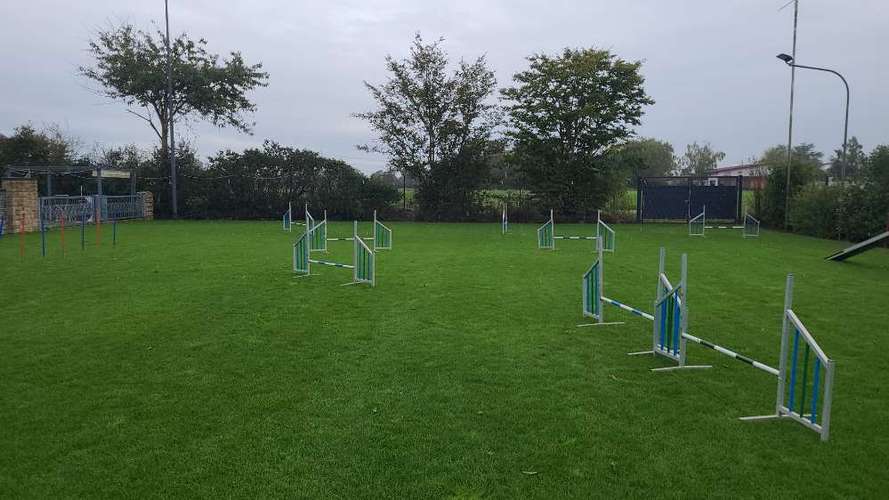 Hundeauslaufgebiet-Dog-Team Griesheim-Bild