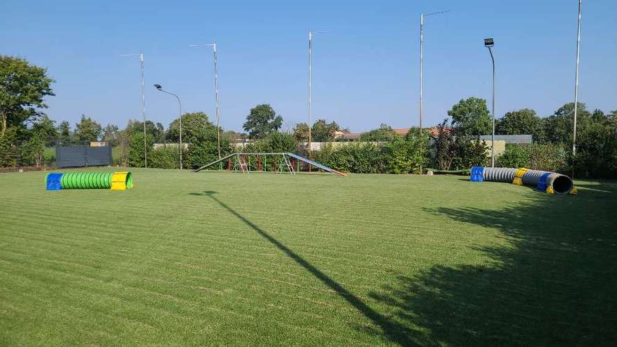 Hundeauslaufgebiet-Dog-Team Griesheim-Bild