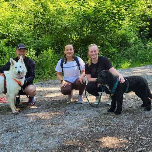Hundeauslaufgebiet-Martin Rütter Hundeschule Ludwigsburg / Besigheim-Bild