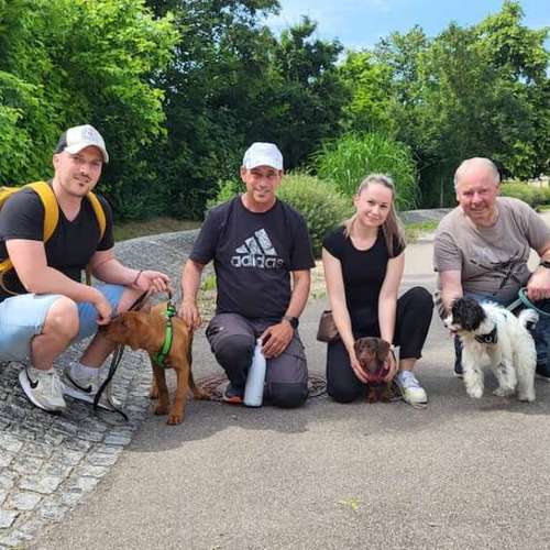 Hundeauslaufgebiet-Martin Rütter Hundeschule Ludwigsburg / Besigheim-Bild
