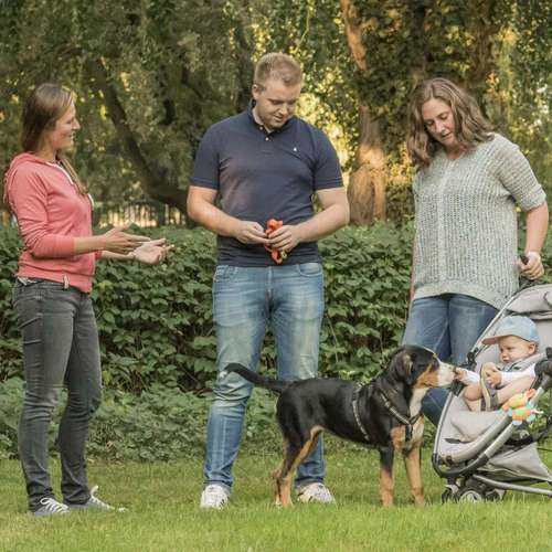 Hundeauslaufgebiet-Martin Rütter Hundeschule Ludwigsburg / Besigheim-Bild