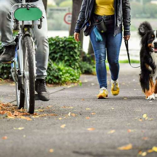 Hundeauslaufgebiet-Martin Rütter Hundeschule Ludwigsburg / Besigheim-Bild