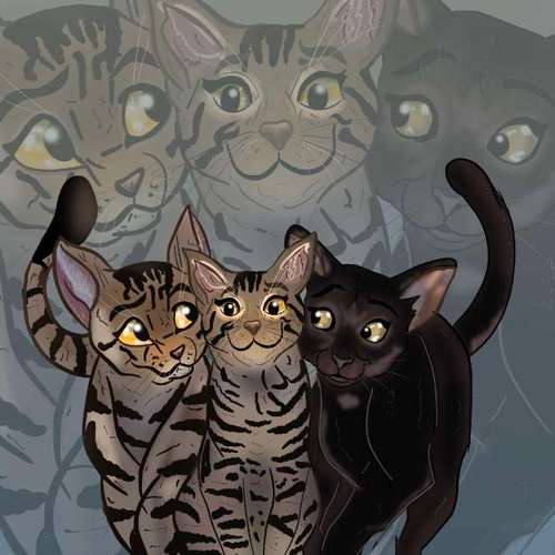 Hundeauslaufgebiet-KunstChaotin-Bild