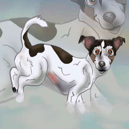 Hundeauslaufgebiet-KunstChaotin-Bild