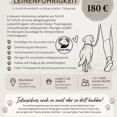 Hundeauslaufgebiet-Bellas Dogs-Bild