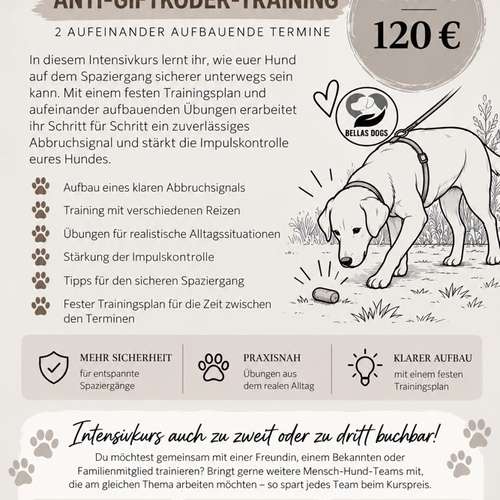 Hundeauslaufgebiet-Bellas Dogs-Bild