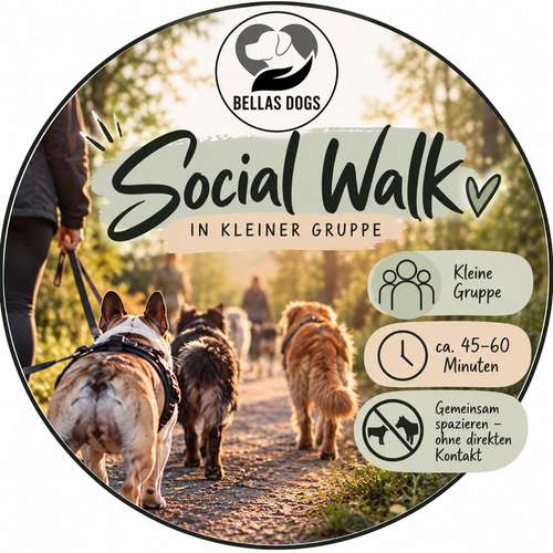 Hundeauslaufgebiet-Bellas Dogs-Bild