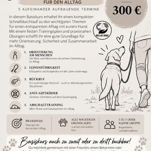 Hundeauslaufgebiet-Bellas Dogs-Bild