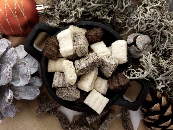 Hundeauslaufgebiet-COOPER'S CORNER-Bild