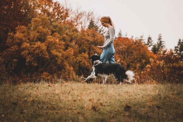 Hundeauslaufgebiet-Hundeschule Nußloch-Bild